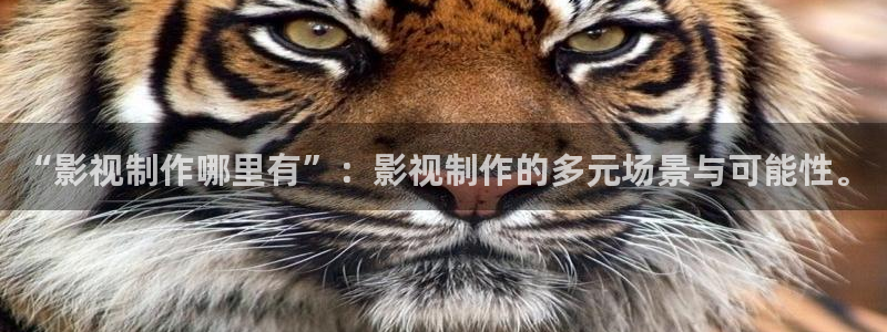 成人红杏影院